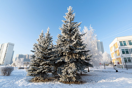 俄罗斯莫斯科市的白雪覆盖了树木住宅气候蓝色天气城市天空公园风景阴影运河图片