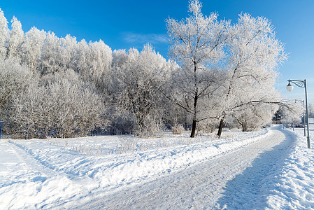 俄罗斯莫斯科市的白雪覆盖了树木阴影晴天住宅天气城市天空风景运河蓝色公园图片