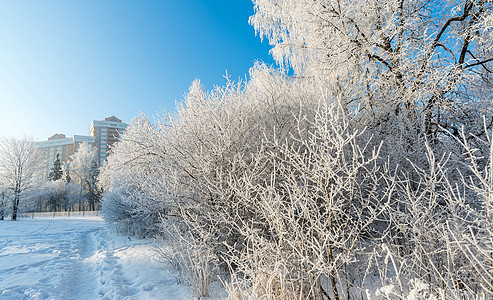 俄罗斯莫斯科市的白雪覆盖了树木城市蓝色晴天运河天空阴影住宅风景房子天气图片