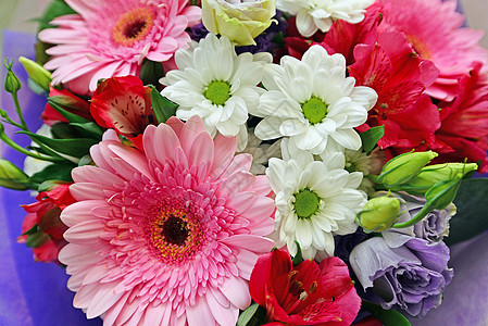 花束花朵 配有格贝拉幸福房间夫妻庆典婚礼雏菊传统接待订婚仪式图片