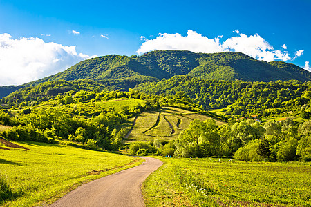 普莱维察山丘的春季风景图片