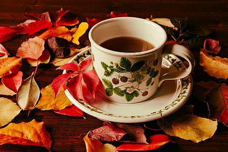茶杯和秋叶树叶图片