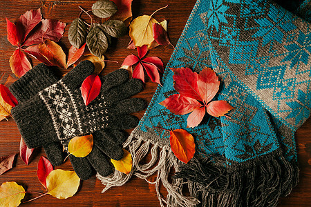 从上面看到的手套 围巾和丰富多彩的秋天花叶图片