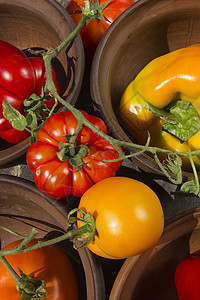 辣椒和西红柿制品纤维盘子美食烹饪味道花园厨房产品陶瓷图片