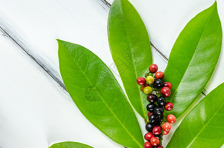 泰国蓝莓水果食物浆果草本圆形营养红色叶子绿色黑色甜点图片