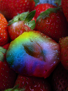 改变基因的草莓图片