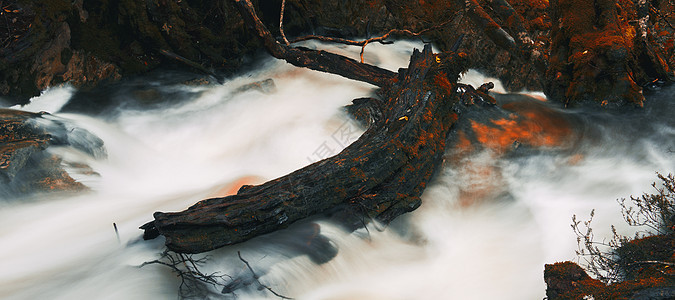 摇篮山Knyvet瀑布环境溪流旅游荒野风景薄雾岩石森林苔藓公园图片