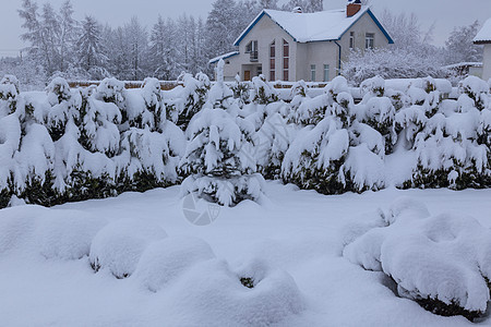 冬天 寒冷 温度 雪 白色 颜色 俄罗斯乡村季节场景公园旅行天气图片