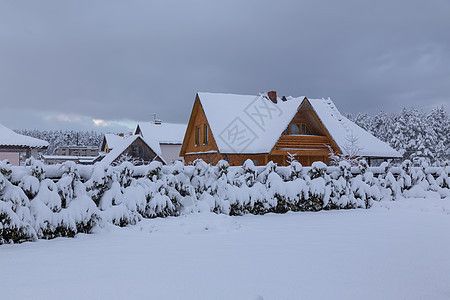 冬天 寒冷 温度 雪 白色 颜色 俄罗斯公园旅行季节乡村天气场景图片