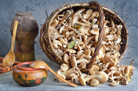 篮子中新鲜蘑菇的原始鲜蘑菇图片