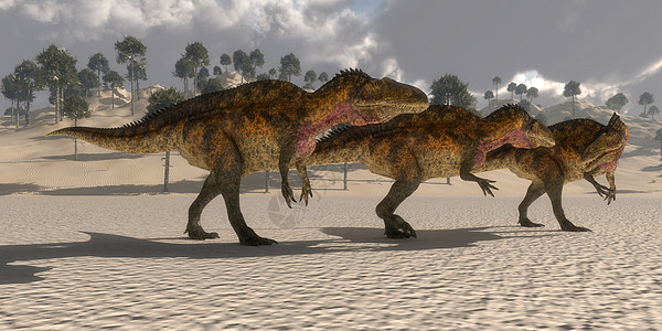 亚丙龙龙龙恐龙图片