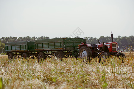 有拖车的小型拖拉机场地农业收成收割机农场男人小麦收获谷物乡村图片