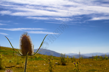 蒙蒂德拉拉加叶子公园风景冒险绿色全景水库天空场景树木图片