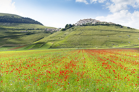卡斯特利奇奥德诺尔西亚乡村山脉天空花朵地标绿色全景农业蓝色农村图片