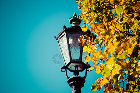 秋色的街道灯光图片