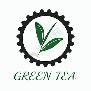 通过使用三种颜色和地面白色的绿茶概念标识飞碟芳香早餐植物插图薄荷美食香气草本植物图片