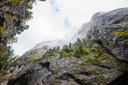 罗马尼亚比卡兹峡谷 秋季晚些时候公园松树峡谷游客风景湿度树木入口岩石冒险图片