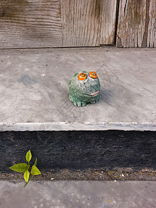 玩具青蛙坐在门廊上园丁动物园艺说谎蟾蜍院子陶瓷植物休息生态图片