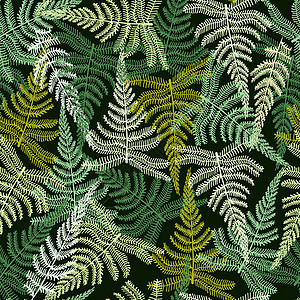 与蕨装饰的装饰图案 森林蕨背景背景图片