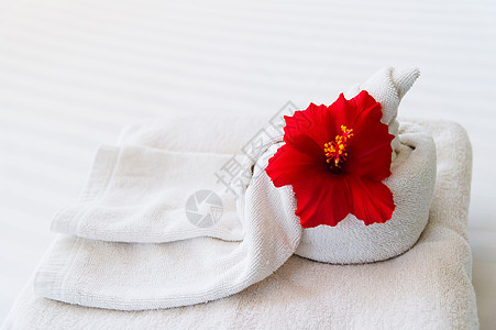 白毛巾 白色背景花朵温泉团体海星卫生疗法身体治疗芳香红色淋浴图片