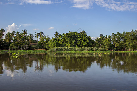 Tha Chin河沿岸的乡村地带水葫芦镜子天空反射植物农村白云蓝色全景图片