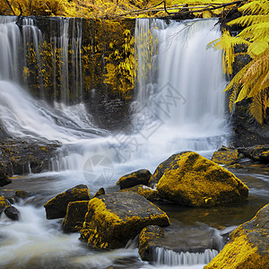 马蹄瀑布 在山田国家公园旅游自然荒野森林风景公园溪流流动背景岩石图片