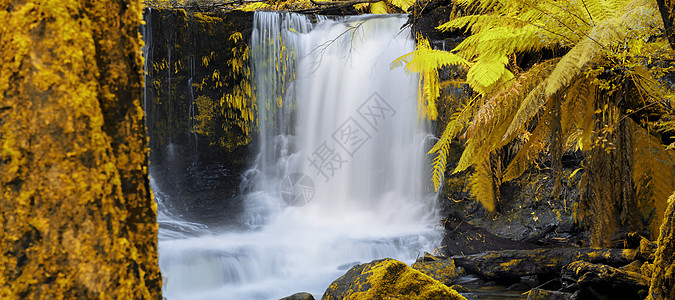 马蹄瀑布 在山田国家公园岩石荒野蕨类风景背景溪流旅游森林薄雾自然图片