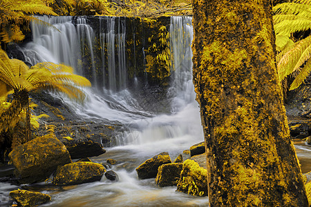 山田国家公园马蹄瀑布自然岩石荒野流动旅游薄雾环境瀑布森林风景图片