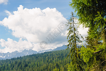 夏季山丘绿草和蓝天空景观晴天国家天空土地场景农村风景环境地平线蓝色图片