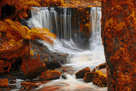山田国家公园马蹄瀑布背景岩石溪流公园荒野森林旅游流动风景瀑布图片