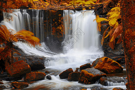 山田国家公园马蹄瀑布瀑布背景自然荒野风景苔藓蕨类岩石绿色环境图片