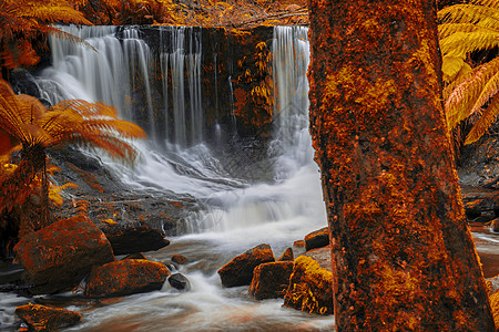 山田国家公园马蹄瀑布苔藓瀑布荒野绿色公园自然旅游薄雾岩石背景图片