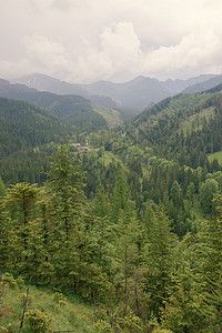 夏季山区地貌环境季节森林顶峰草地天空绿色阳光高地爬坡图片