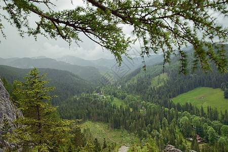 夏季山区地貌高地阳光山脉场景岩石晴天顶峰森林绿色爬坡图片