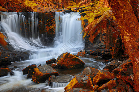 马蹄瀑布 在山田国家公园绿色薄雾岩石溪流环境森林公园自然背景瀑布图片