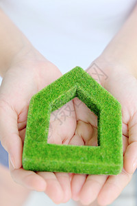 绿色房屋图标建筑叶子财产环境房子力量概念花园节约生态图片