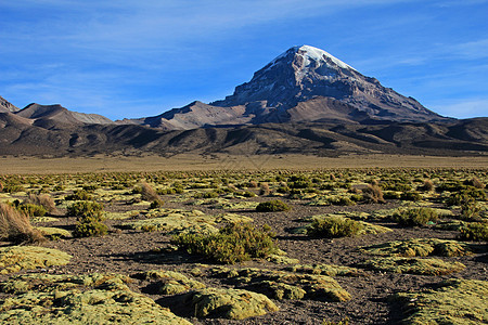 Sajama国家公园 玻利维亚拉丁普纳顶峰高地石头沙漠吸引力山脉戏剧性风景图片