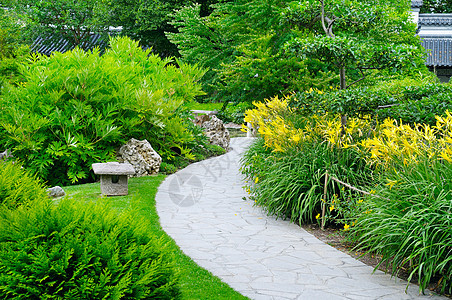 设有道路和花铺的夏季公园花坛庭园途径生长场景风景植物学花瓣花朵美化背景图片