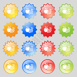 水果 Web 图标符号 大套16个彩色现代按钮用于设计 矢量图片