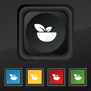 有机食品图标符号 在黑色纹理上设置5个彩色 时髦的按钮 用于设计 矢量图片