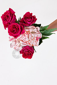 手和鲜花工作室红色男性花束玫瑰背景图片
