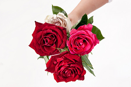 手和鲜花男性红色花束玫瑰工作室背景图片