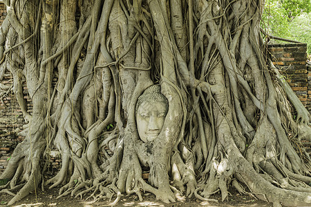 古老的美丽泰国圣殿马哈特 阿尤塔亚历史广场旅行旅游建筑游客文化宗教建筑学公园地标寺庙图片