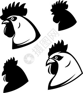一套鸡头 公鸡头 徽标的设计元素图片
