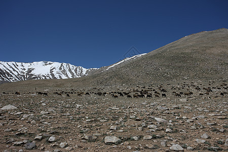 帕米尔地区俄罗斯联邦中亚山地景观自然地形城市风景森林岩石旅行爬坡旅游顶峰图片