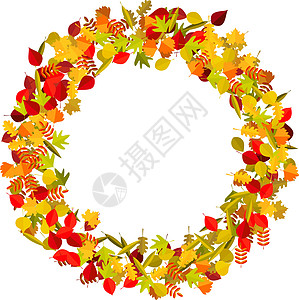 黄色秋叶的花圈  posterfl 的设计元素艺术白色卡片装饰季节性叶子风格插图框架红色图片