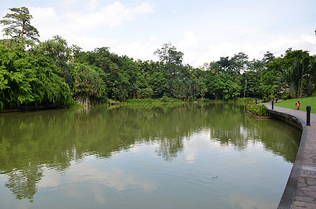 新加坡植物园中湖池塘季节旅行衬套草地叶子公园天空城市反射图片