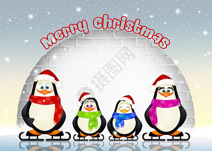 企鹅的家族生活插图家庭哺乳动物庆典冰刀动物明信片冰屋图片