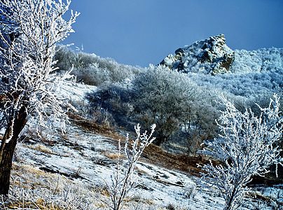 冻结的冬季风景森林草地雪堆山脊季节背景田园山脉下雪雪树图片