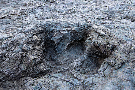 巨大的恐龙脚印 玻利维亚马拉瓜博物馆地形地质学脚步水泥痕迹首都拉丁兽人古生物学图片